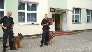 dwaj policjanci w mundurach ćwiczebnych prezentują dwa psy służbowe, owczarki niemiecki