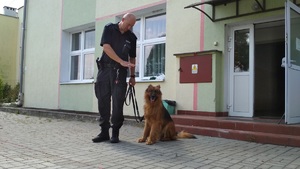 policjant stoi i wydaje komendę swojemu psu służbowemu