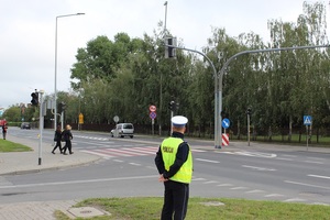 umundurowany policjant ruchu drogowego kontroluje ruch  na drodze. w tle skrzyżowanie i przejście dla pieszych