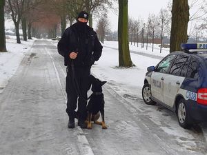 Policjant z psem stoi przy radiowozie