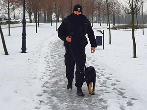 Przewodnik i jego pies kroczą zaśnieżoną ścieżką